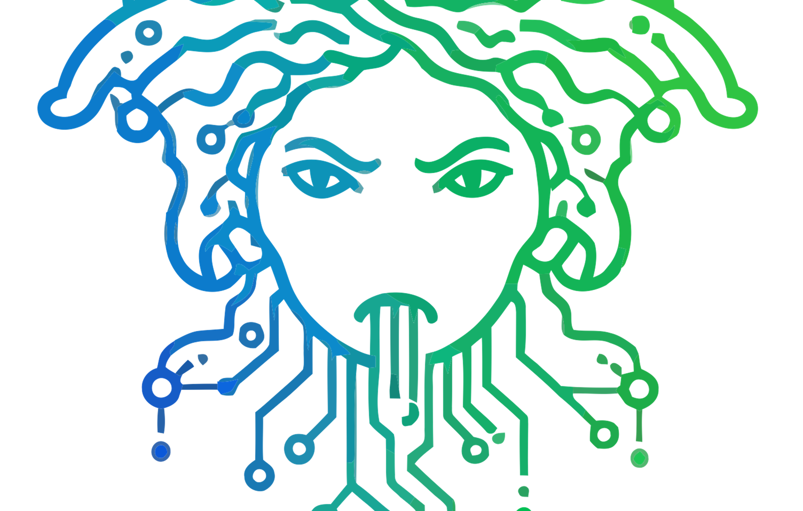 Medusse IoT Platform